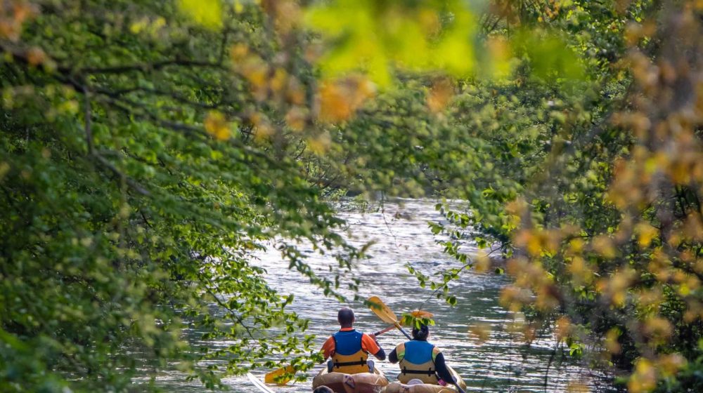 Canoe kayak -ronald piclin ®