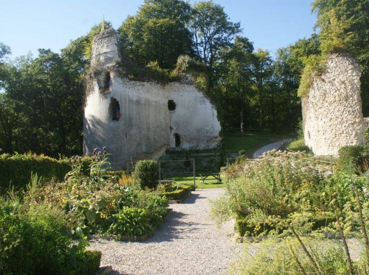 Château de Fressin 2-2019-CP Asso Chateau Fressin