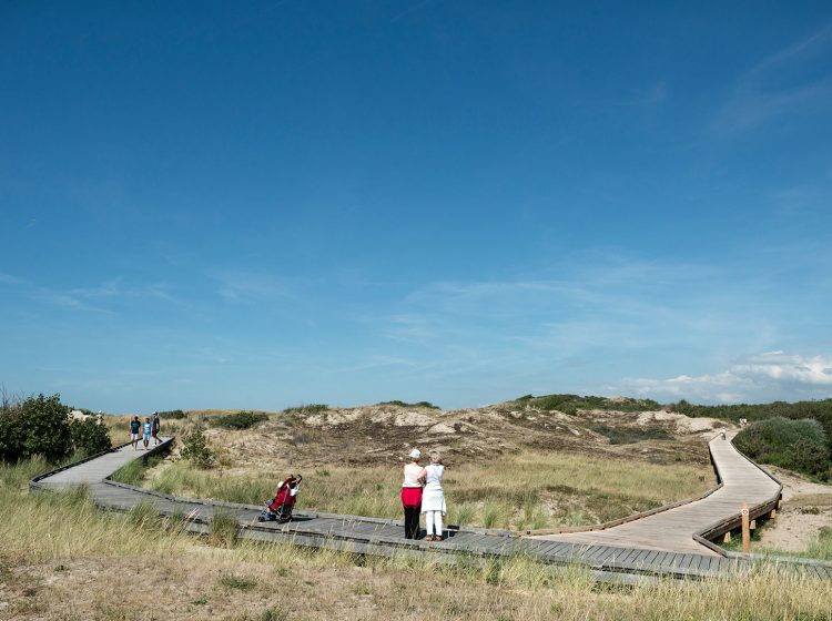 promenade-dunes-famille-2015-jd-ldd